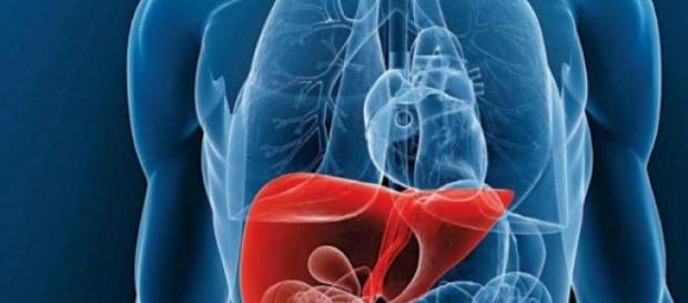 Desintoxicación, un regalo para tu cuerpo Desintoxicación, un regalo para tu cuerpo