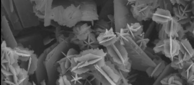 Las nanopartículas y sus extrañas leyes físicas Las nanopartículas y sus extrañas leyes físicas