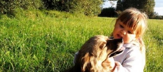 Qualquer animal traz benefícios às crianças. Qualquer animal traz benefícios às crianças.
