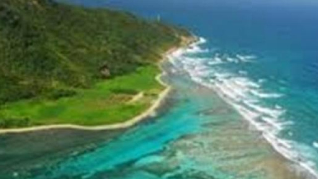 Anticipazioni Isola dei Famosi: parlano naufraghi.