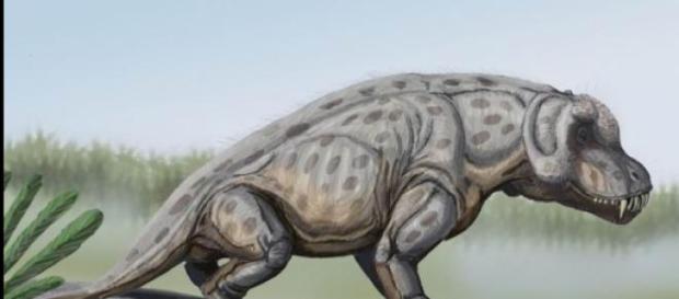 Hubo varios extraños animales en la prehistoria Hubo varios extraños animales en la prehistoria