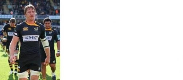 Wasps enjoyed victory in the Premiership yesterday Wasps enjoyed victory in the Premiership yesterday