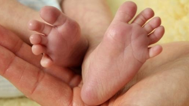 Informazioni sul bonus beb&egrave; 2015.