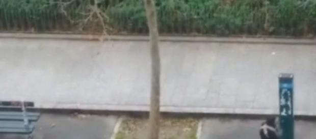 Momento del ataque a personas Momento del ataque a personas