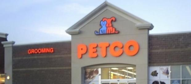 Petco tem 1300 lojas nos Estados Unidos Petco tem 1300 lojas nos Estados Unidos