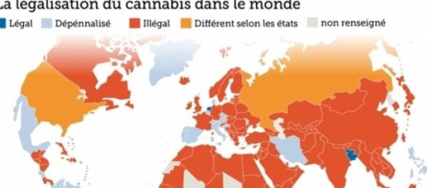 Terra Nova propose la légalisation du cannabis Terra Nova propose la légalisation du cannabis