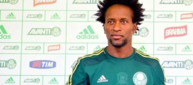 Veterano Zé Roberto regressa ao futebol paulista Veterano Zé Roberto regressa ao futebol paulista