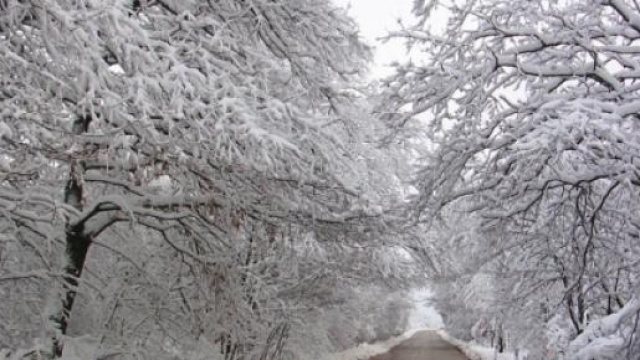 Previsioni meteo inverno e gennaio 2015