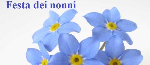 Festa Dei Nonni 15 Le 10 Frasi Piu Belle Da Dedicare