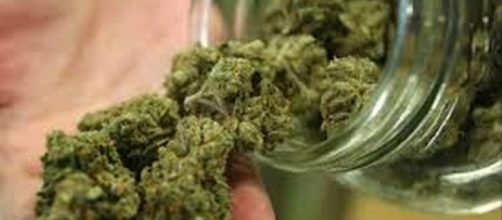 Cannabis, al via alla Camera la proposta di legge