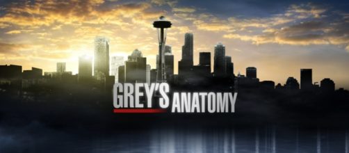 Grey's Anatomy 12x02: Walking Tall