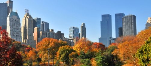 Viaggiare in autunno: The Big Apple