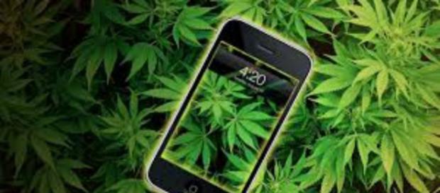 Legalize it ,Cannabis i phone ! Legalize it ,Cannabis i phone !