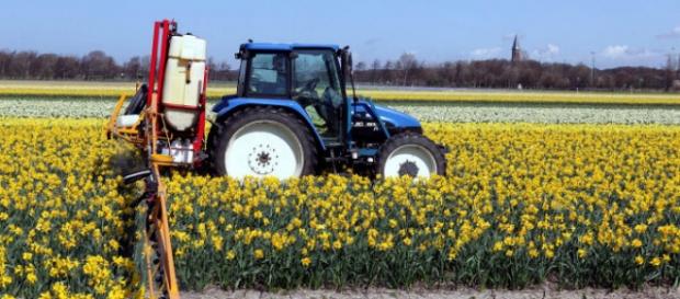 Traktor beim Ausbringen von Pflanzendünger Traktor beim Ausbringen von Pflanzendünger