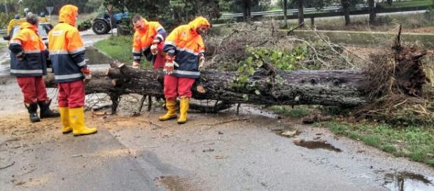 Il meteo avverso ha creato molti danni nel Salento Il meteo avverso ha creato molti danni nel Salento