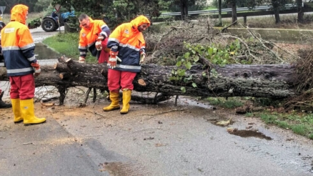 Il meteo avverso ha creato molti danni nel Salento