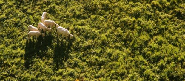 Imagem aérea de feita por um drone Imagem aérea de feita por um drone