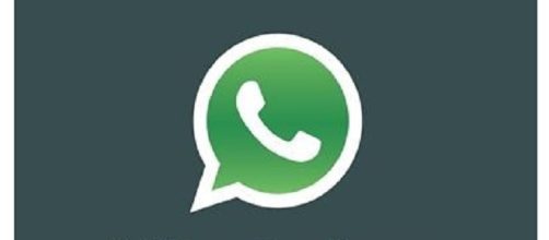 Archiviare dati da WhatsApp, ora si può