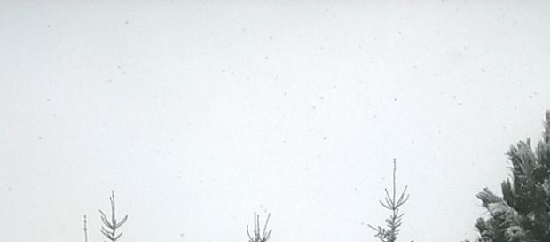 Pierwszy śnieg pod Krakowem - fot. J. Grecka Pierwszy śnieg pod Krakowem - fot. J. Grecka