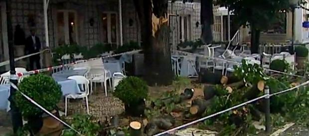 Queda de árvore feriu duas pessoas em Sintra Queda de árvore feriu duas pessoas em Sintra