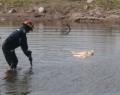 Buscan identificar a la mujer que apareció muerta en un arroyo
