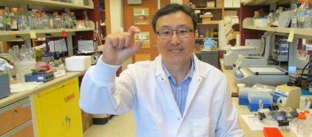 Hoon Sunwoo, estudio sobre intolerancia al gluten Hoon Sunwoo, estudio sobre intolerancia al gluten