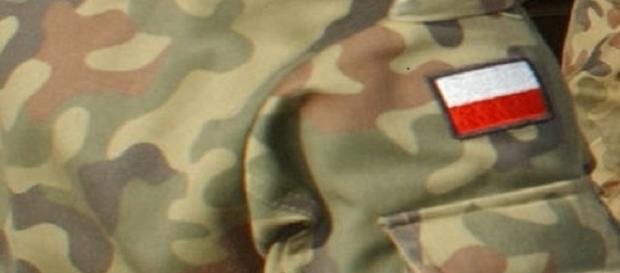 Gwardia Krajowa ma liczyć 300 tysięcy członków Gwardia Krajowa ma liczyć 300 tysięcy członków