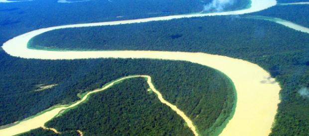 Região Amazônica ocorre maioria dos assassinatos Região Amazônica ocorre maioria dos assassinatos