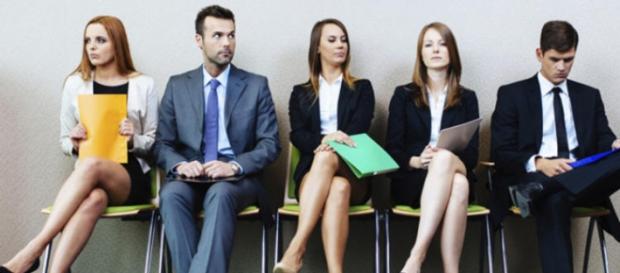 La formación y el empleo no suelen ir de la mano. La formación y el empleo no suelen ir de la mano.