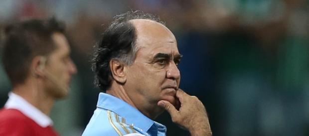 Marcelo Oliveira, atual técnico do Palmeiras Marcelo Oliveira, atual técnico do Palmeiras