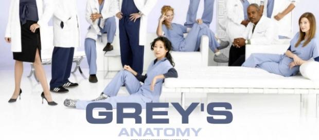 novità per la stagione 12 di Grey's Anatomy novità per la stagione 12 di Grey's Anatomy