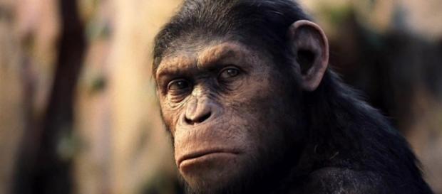 Estudo mostra que nosso ancestrais dormiam pouco Estudo mostra que nosso ancestrais dormiam pouco