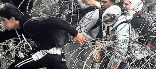 Imigrantul a fost ucis joi noapte Imigrantul a fost ucis joi noapte