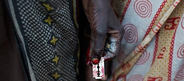Wyrzezanie, fot.Siegfried Modola/Reuters Wyrzezanie, fot.Siegfried Modola/Reuters