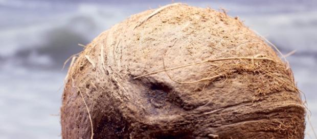 El aceite de coco, uno de los mejores. El aceite de coco, uno de los mejores.