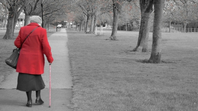 Pensioni anticipate, le nuove info al 19 ottobre