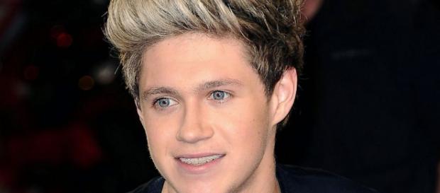 Niall Horan defendeu os fãs dos paparazzi. Niall Horan defendeu os fãs dos paparazzi.