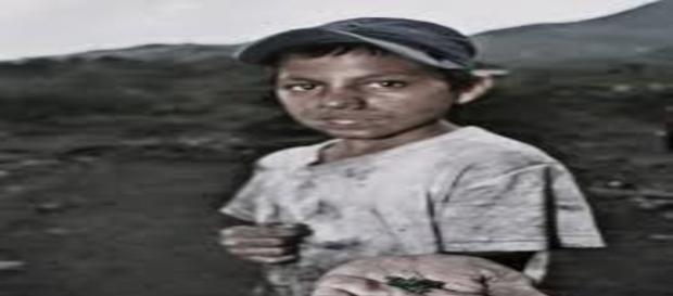 Niños trabajando sin prestaciones, ni seguro Niños trabajando sin prestaciones, ni seguro