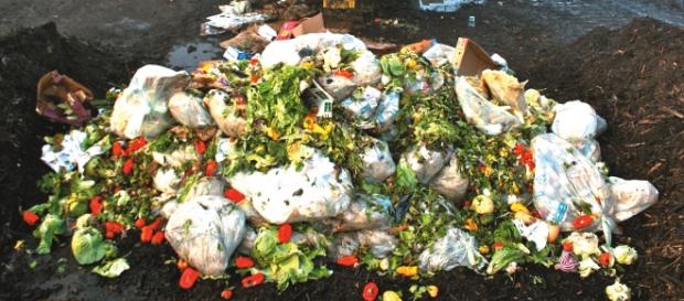 Comida desperdiciada en la basura Comida desperdiciada en la basura