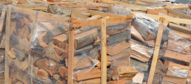 Tăierile ilegale de lemn o problemă Tăierile ilegale de lemn o problemă