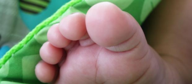 Vizinhos incomodados com o choro de uma bebé Vizinhos incomodados com o choro de uma bebé