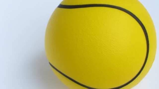 I numeri di Novak Djokovic nel 2015.