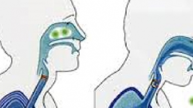 starnuti e pruriti fastidiosi &egrave; arrivato l'inverno