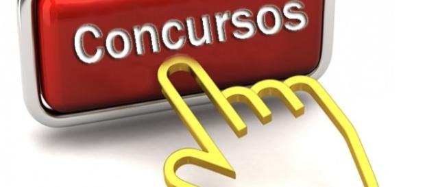 Confira os concursos abertos com cargos ambientais Confira os concursos abertos com cargos ambientais