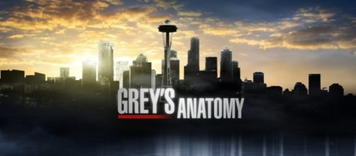 Grey's Anatomy 12x06: 'The Me Nobody Knows'