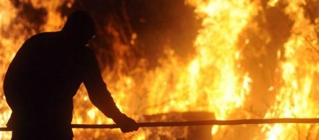 Brigadista tentando apagar um incêndio na floresta Brigadista tentando apagar um incêndio na floresta