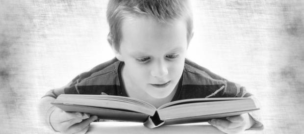 Is too much energy devoted to taking tests? Is too much energy devoted to taking tests?