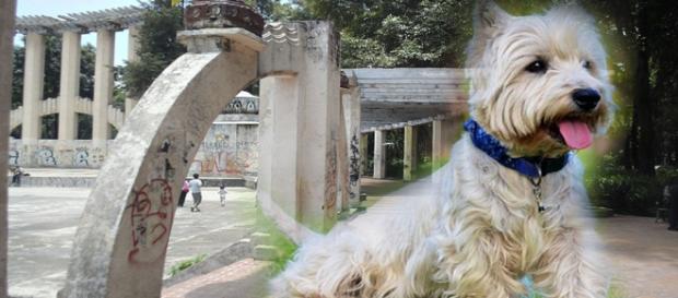 El parque México tradición de México El parque México tradición de México
