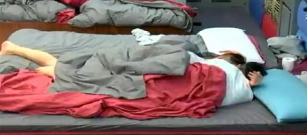 Foto del edredoning de Gran Hermano 16 Foto del edredoning de Gran Hermano 16