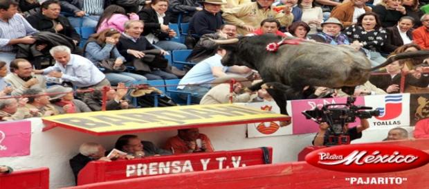 Foto propiedad página web plaza de toros México Foto propiedad página web plaza de toros México